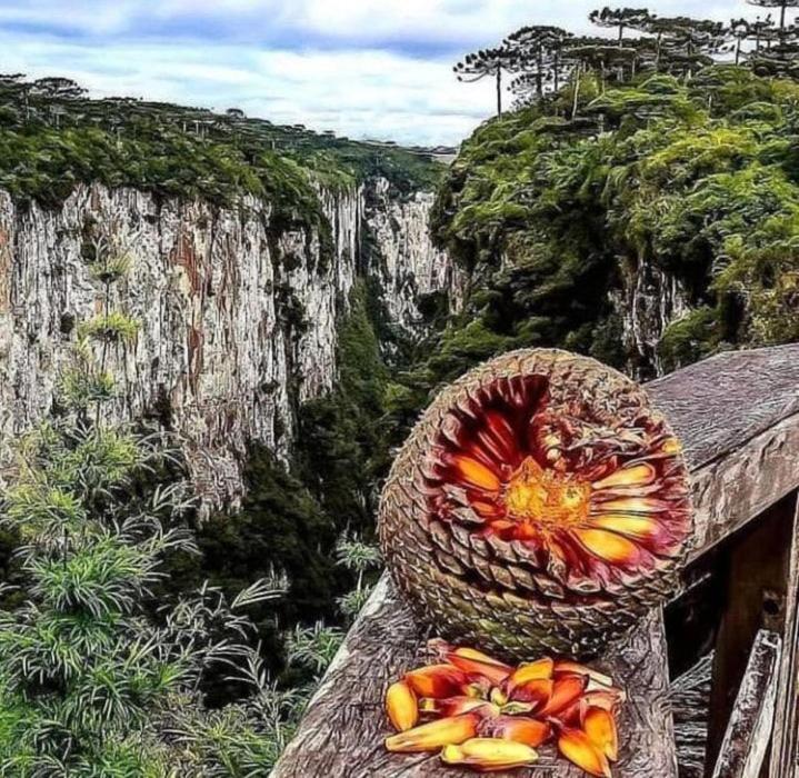 Pousada Encanto Dos Canions Cambará Luaran gambar